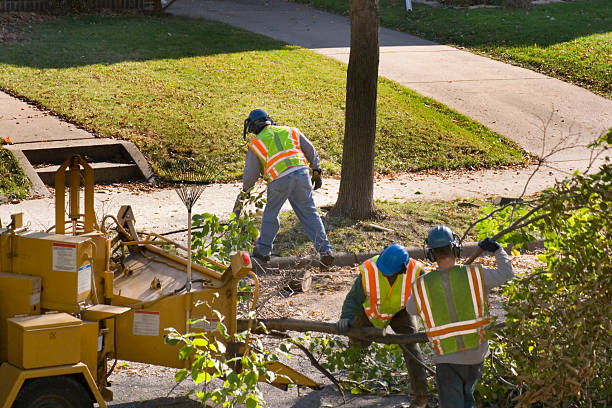 Lawn Watering Services in West Modesto, CA